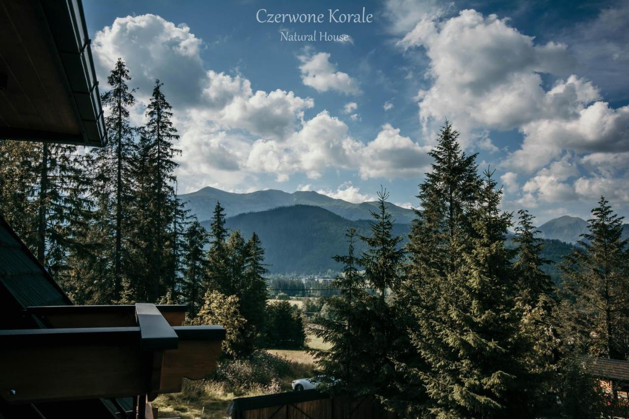Magiczne Korale - Kameralne Miejsce Na Odpoczynek Dla Doroslych - Adult Only Kościelisko Dış mekan fotoğraf
